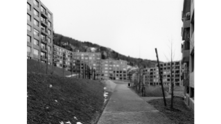 2015, Siedlung am Kellerweg in Albisrieden