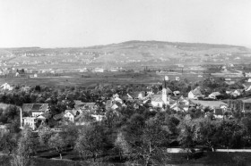 Dorfkern des damals noch ländlichen Albisrieden (Bild von 1895)