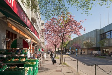 Bild: Strassenabschnitt mit Laden mit Alltagsgütern, Restaurant und Einkaufszentrum