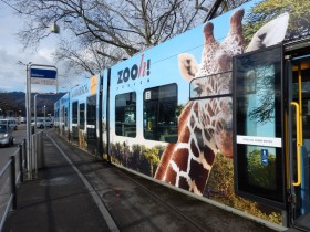 Zoo-Tram Lewa Savanne 2020/2021