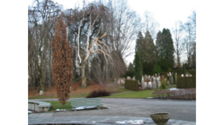 2004, Friedhof Manegg in Wollishofen