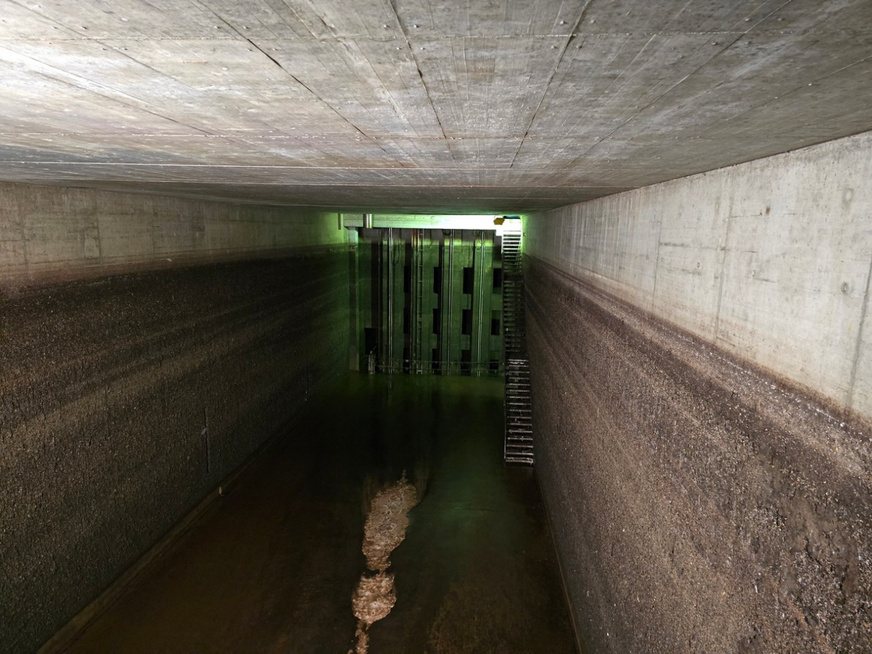 Regenwasserbecken Werdinsel
