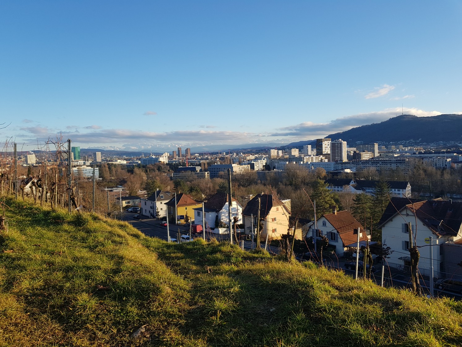 Blick über die Stadt Zürich