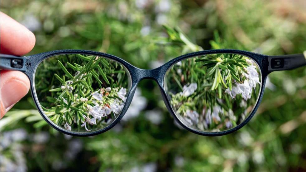 Themenbild zum Beitrag von senesuisse «Grüne Kraft – wie die Natur Menschen mit Demenz bereichert»