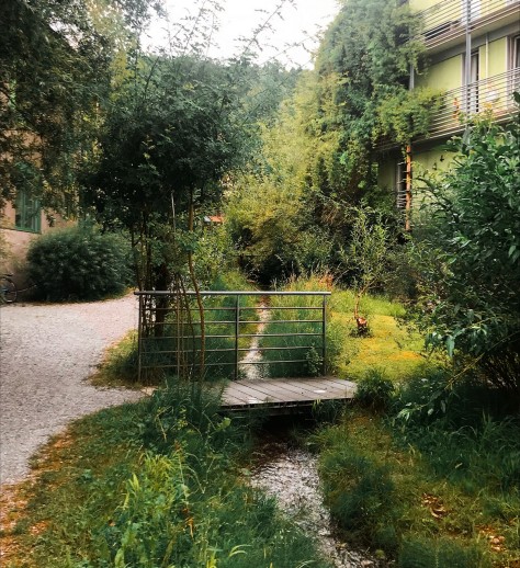 Gewässerschutz Bäche