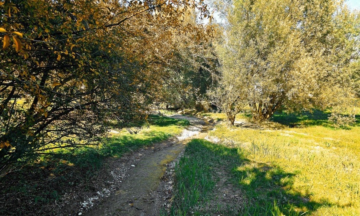 Bäche