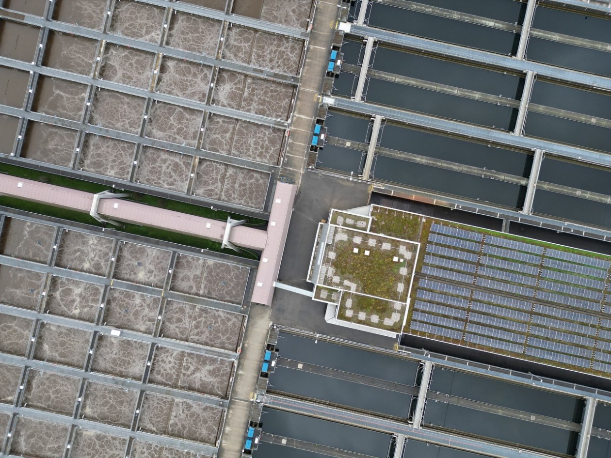 DJI_0584