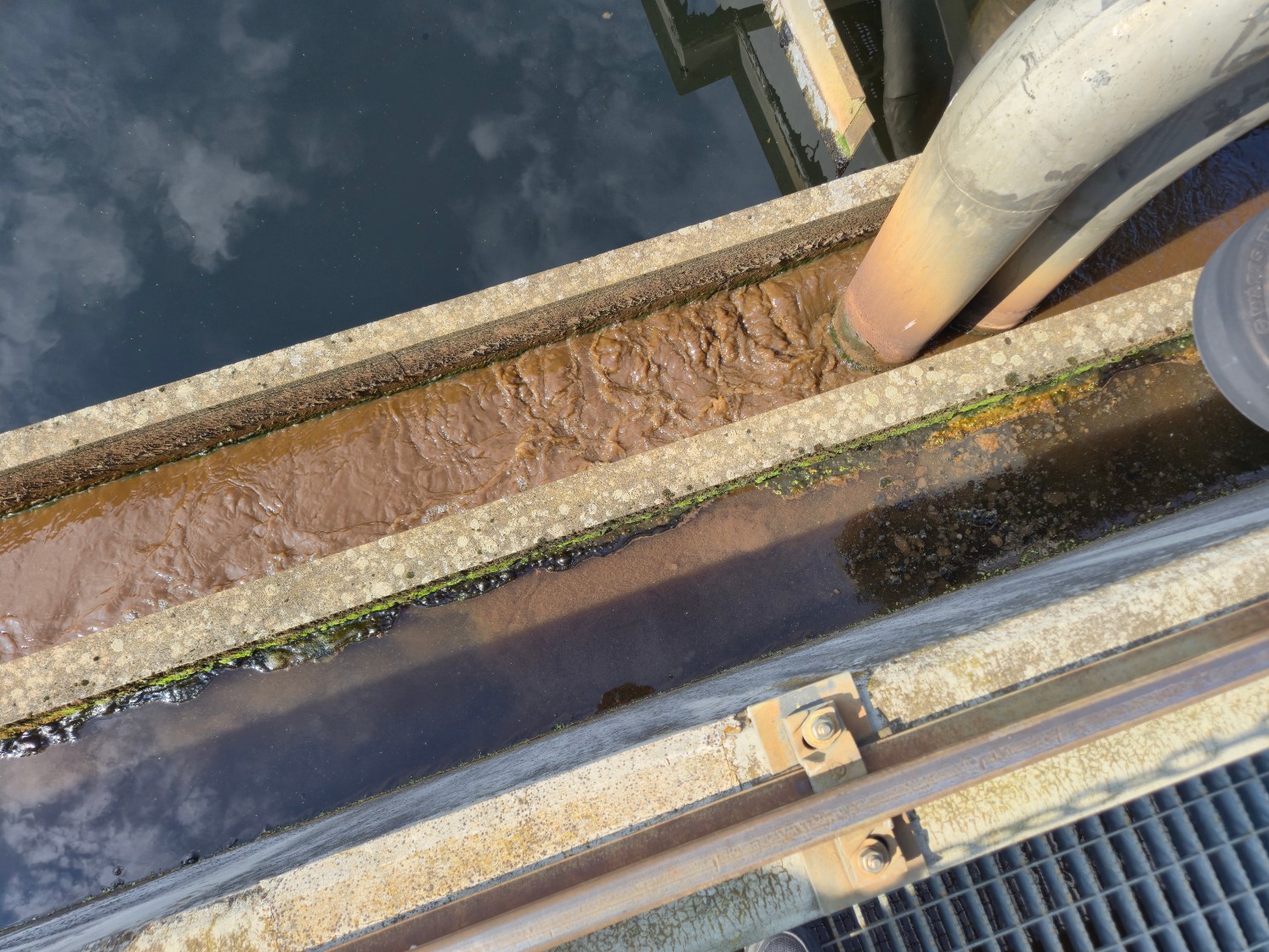 Das Bild zeigt das biologisch gereinigte Abwasser am oberen Bildrand sowie den abgeschöpften Belebtschlamm im Vordergrund (Rinne).