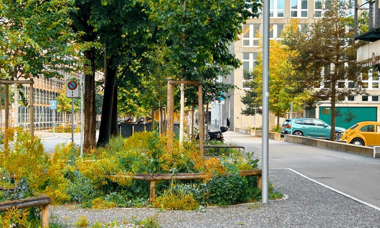 Klar_Fotos_ERZ_251125_715x430px4