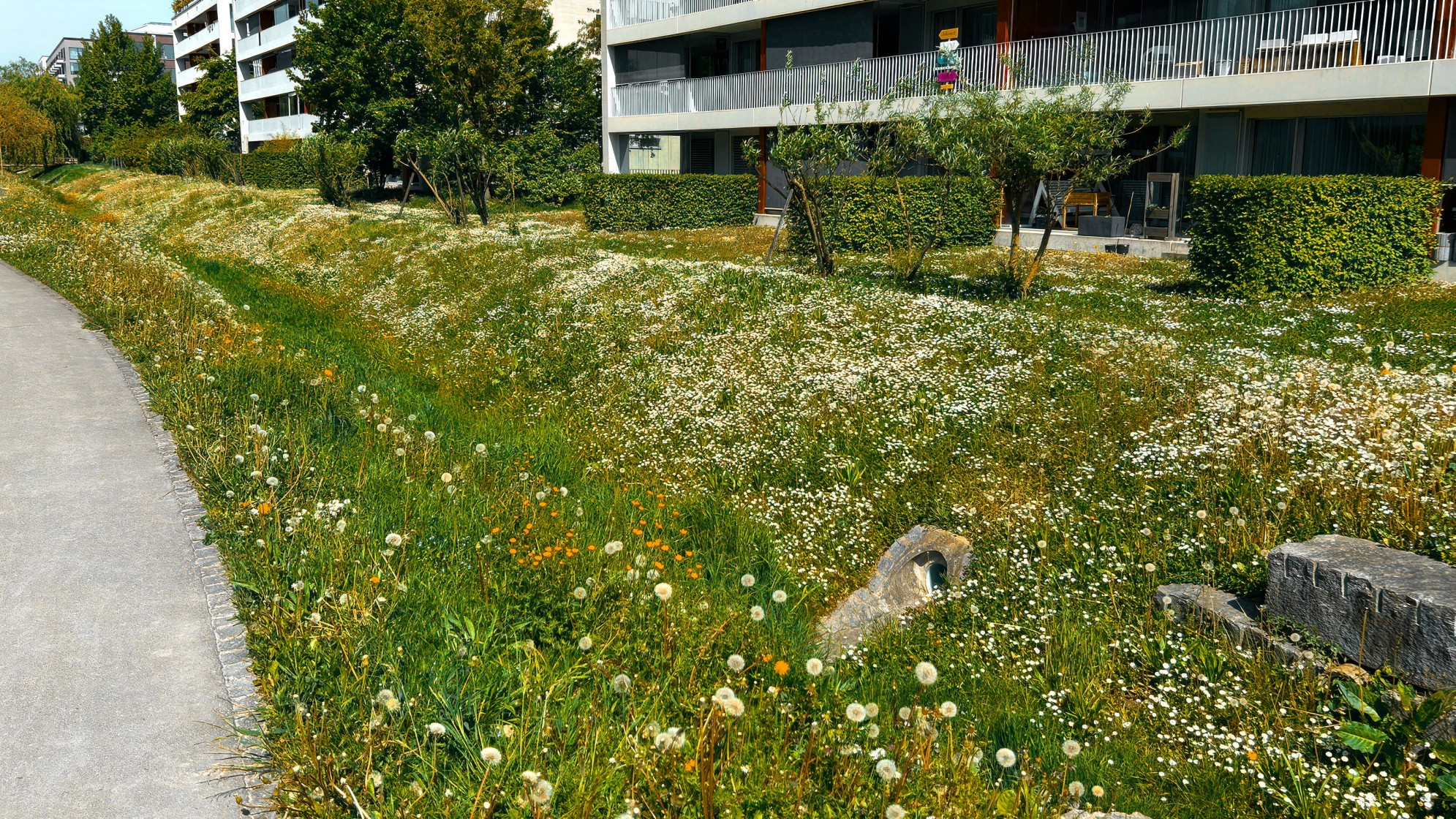 Welchen Weg das Wasser nimmt