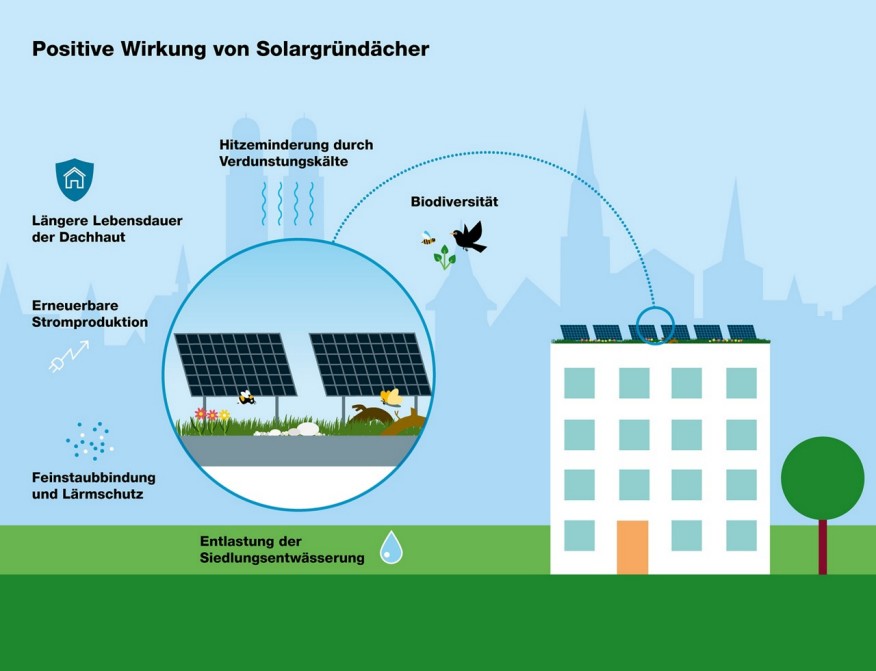 Positive Wirkung von Solargründächern