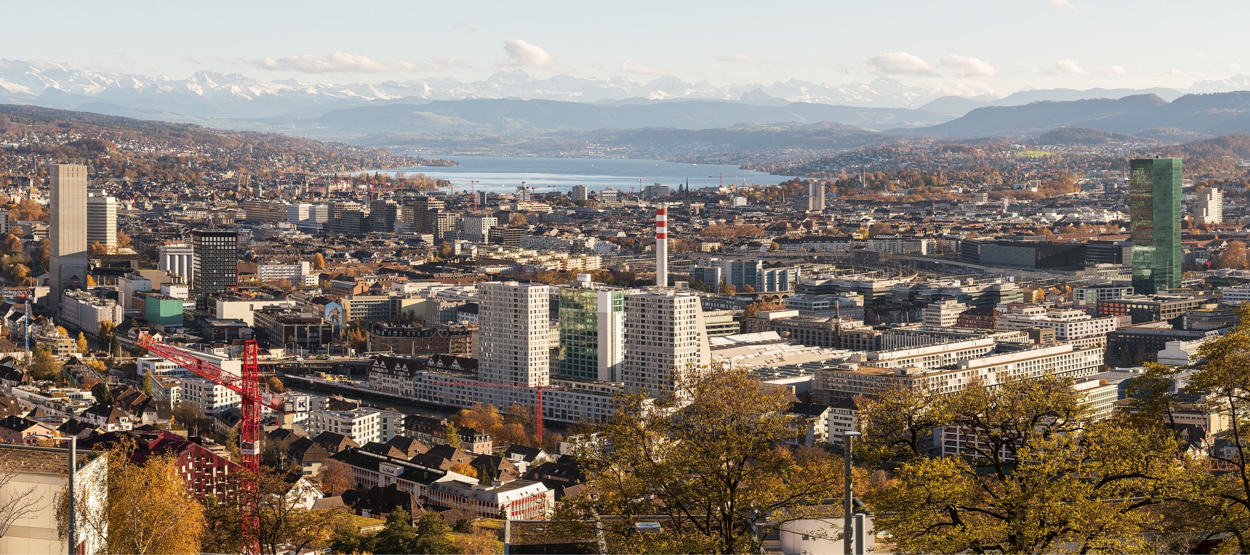 Panoramasicht vom Käferberg auf die Stadt Zürich