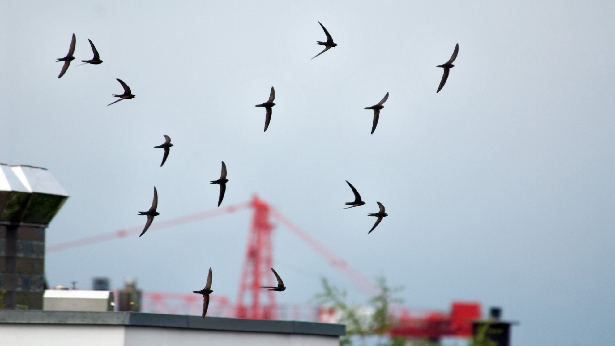 Foto: Marcel Ruppen