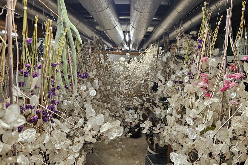 1-slow-flowers-querbeet