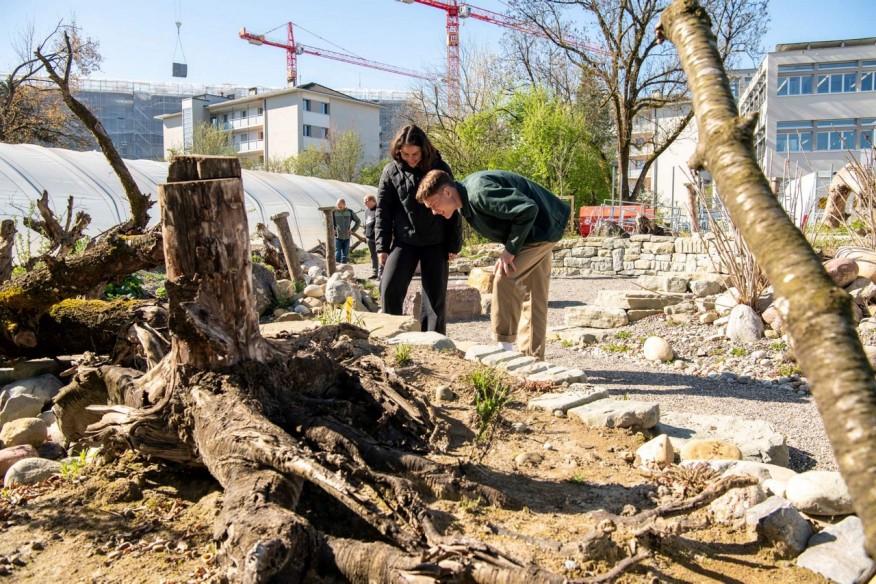 Wildbienenparadies in der Stadtgärtnerei im Rahmen der Ausstellung Vernetzte Natur.