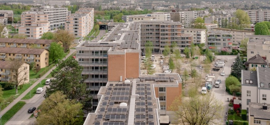 070225_Birch_vorher_nachher