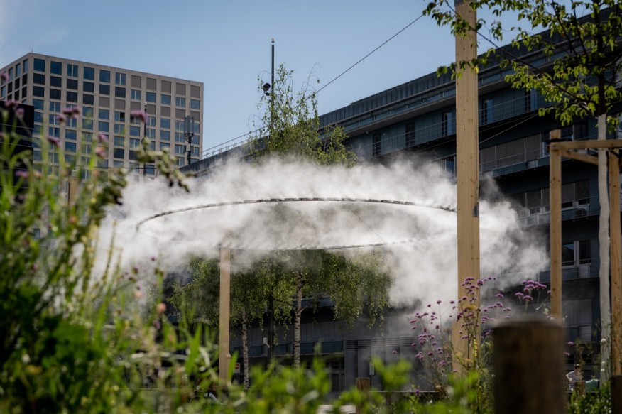 Nebelwolke Grün Stadt Zürich
