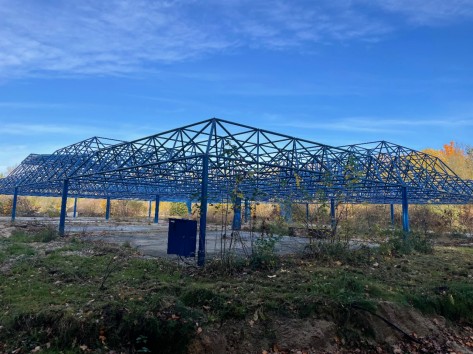 Spreepark Nur noch ein Gerüst eines Pavillons steht im verwilderten Park noch.