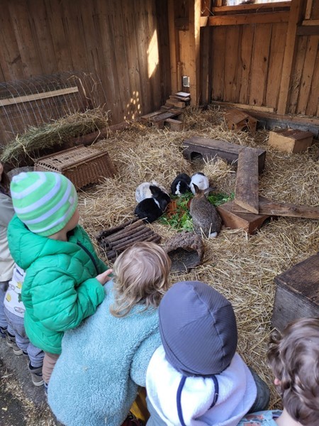 Naturgruppe Entlisberg bei den Hasen Naturgruppe Entlisberg bei den Hasen