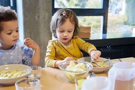 Teaserbild Ernährung