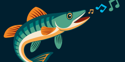 ts-sulay-zauberfisch