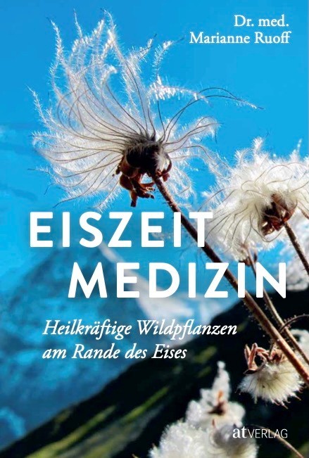 Buchcover Eiszeit Medizin