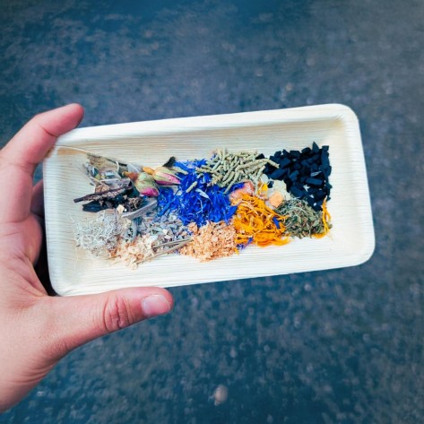 Pflanzentag – ein Sonntag für die Sinne