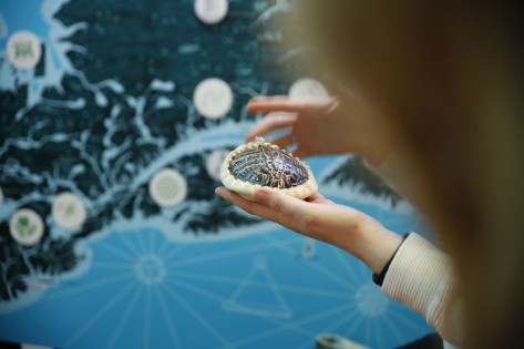 Himmelsfrau und Schildkröteninsel