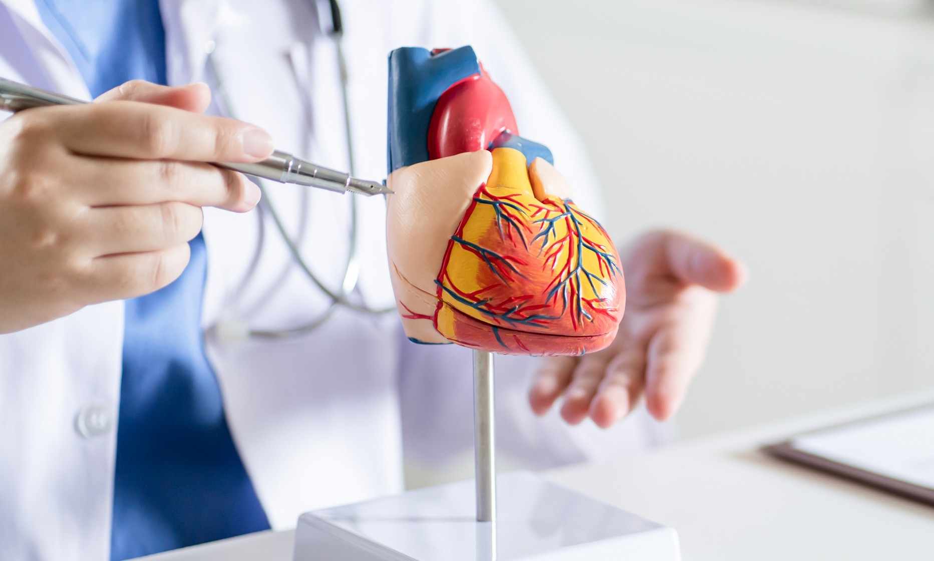 Ambulante Kardiologie und Spezialsprechstunde