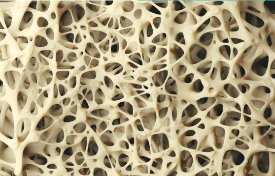 Osteoporose-Sprechstunde