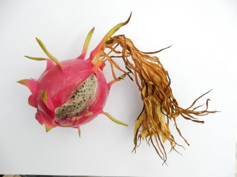 Eine rosa aufgeplatze Frucht