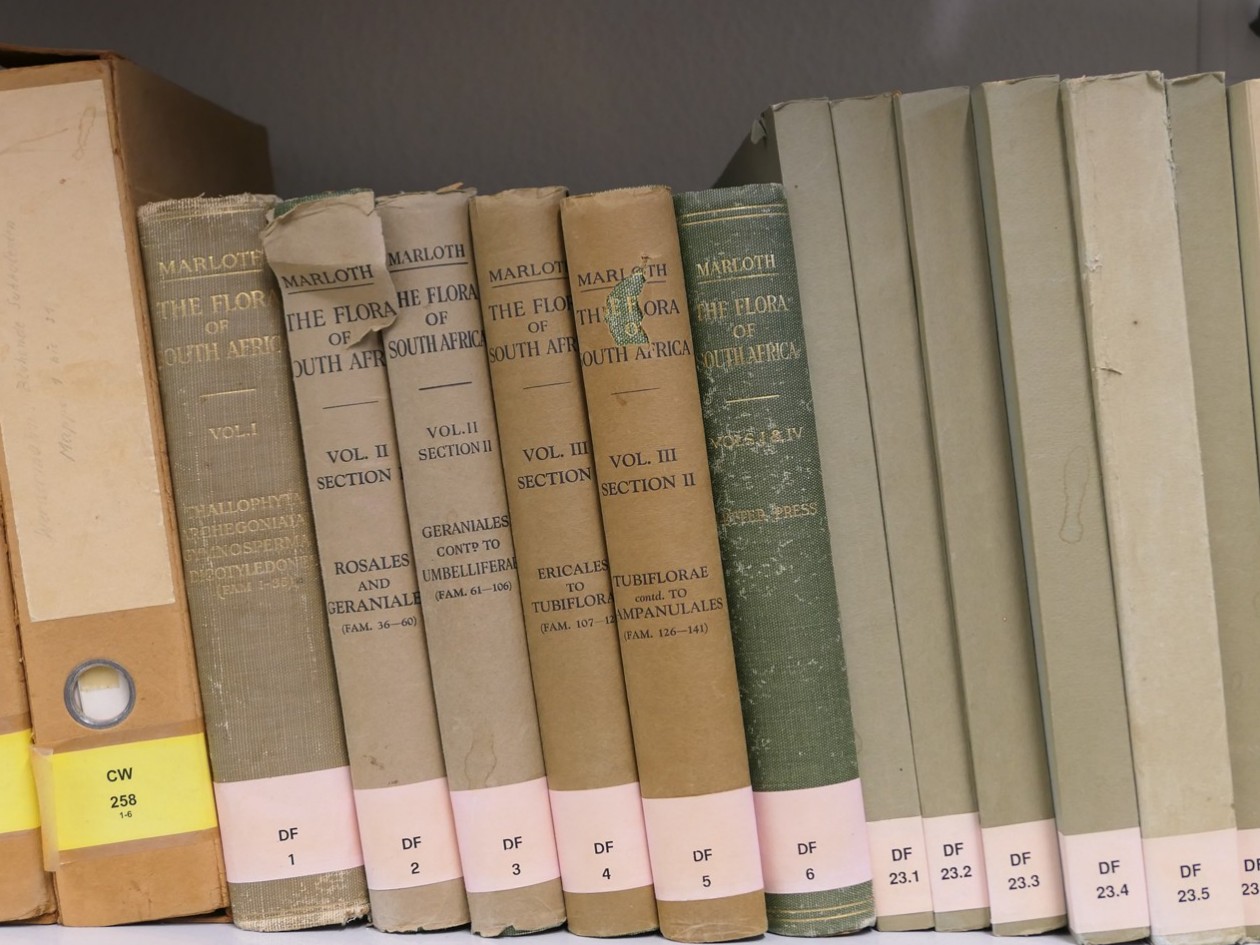 Buchrücken in der Bibliothek der Sukkulenten-Sammlung