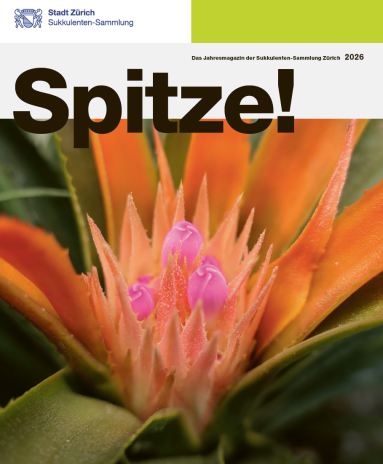 Titelseite des Hausmagazins mit gelb blühendem Kaktus