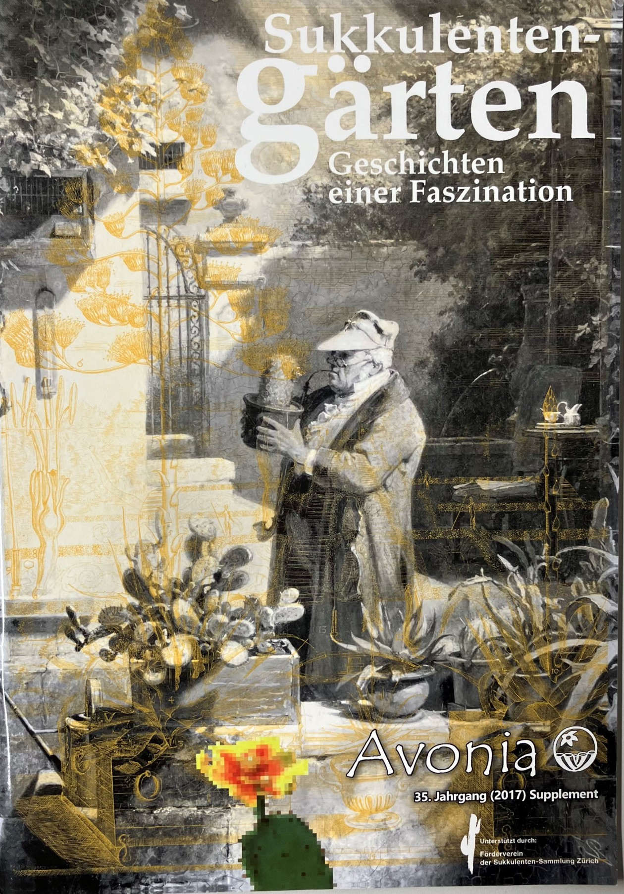 Titelseite Sukkulentengärten