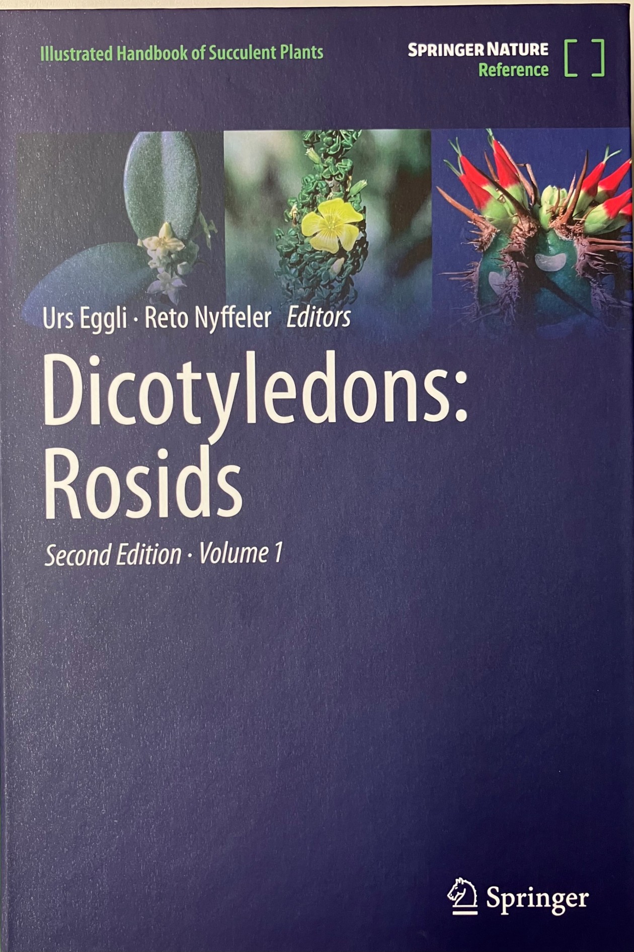 Titel Dicotyledons Rosids