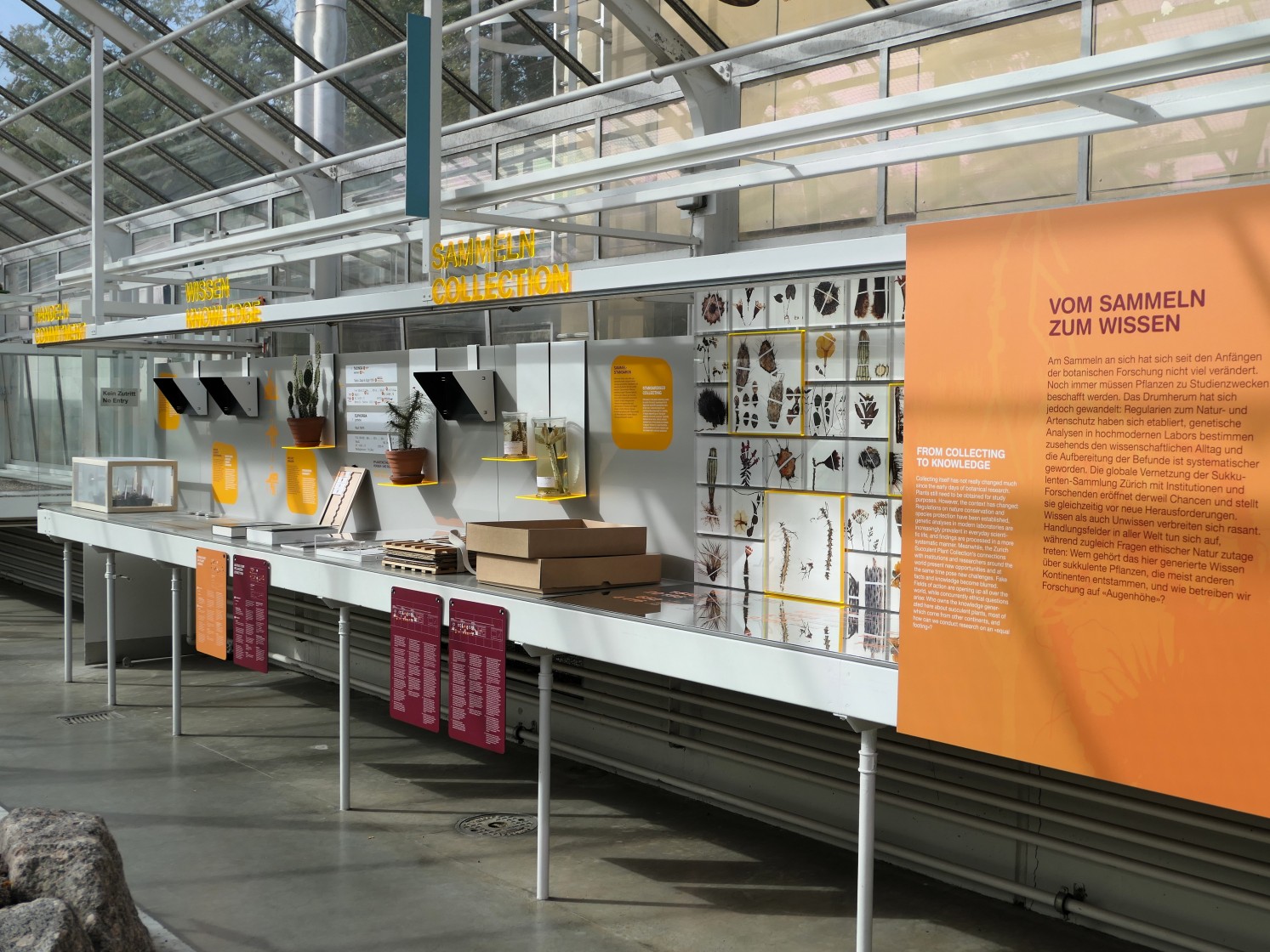 Ausstellungsvitrine im Südamerikahaus