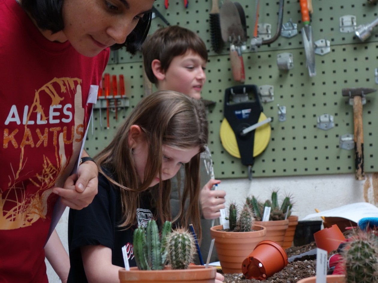 Children are potting cacti in the work room.