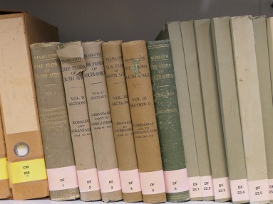 Spine in the library of the Succulent Collection
