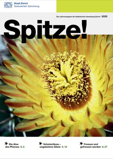 Cover of the in-house magazine with a yellow flowering cactus.
