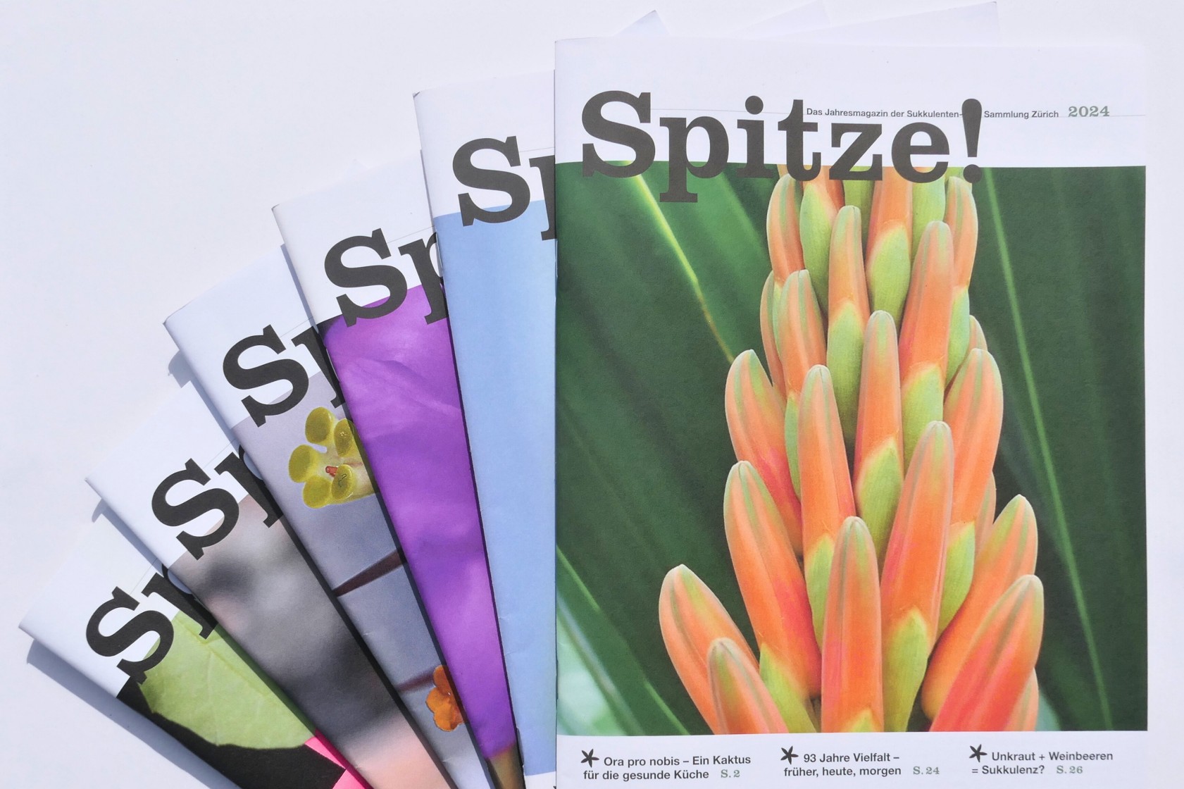 Auswahl des Jahresmagazins Spitze!