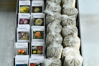 Overview of seed selection