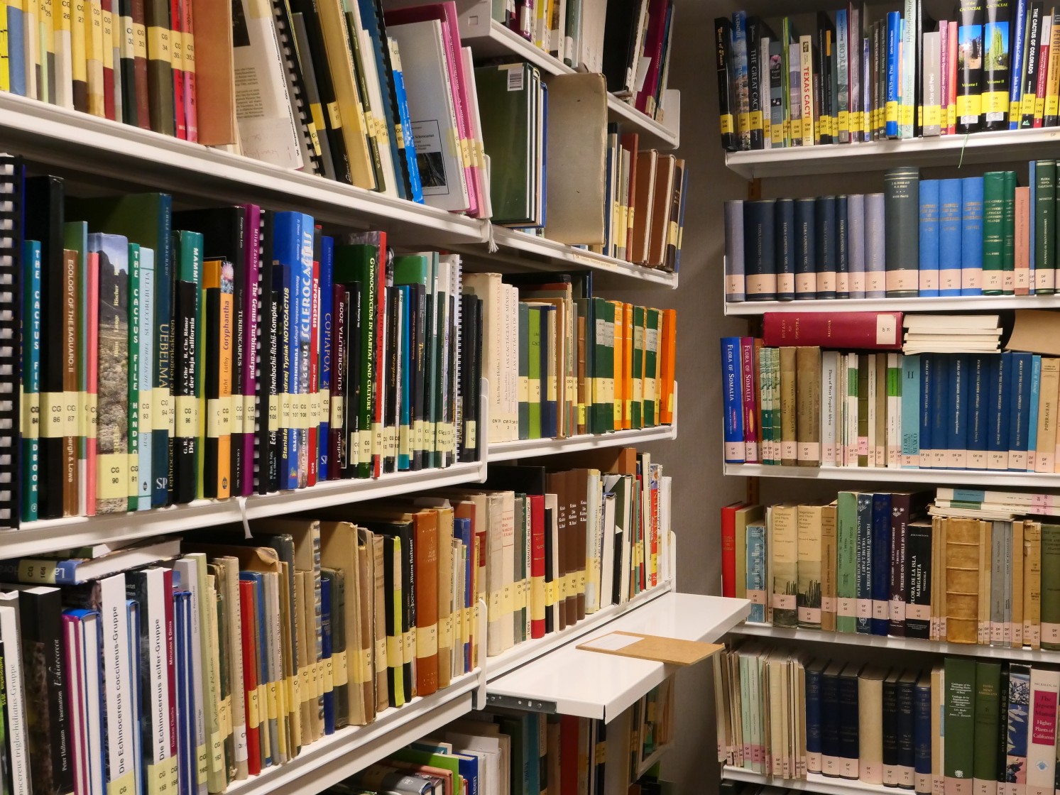 Regale mit wissenschaftlichen Büchern in der Bibliothek der Sukkulenten-Sammlung Zürich
