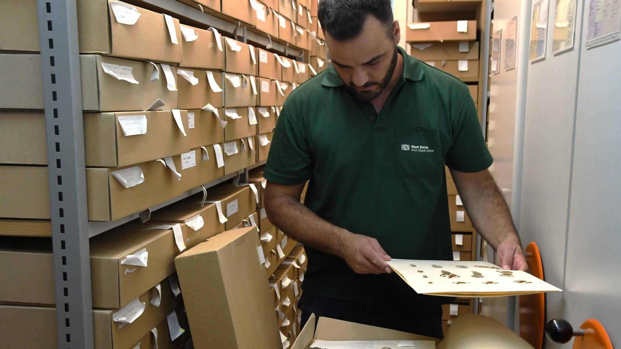 Wissenschaftlicher Mitarbeiter vor den Regalen des Herbars mit seinen rund 8000 Herbarbogen in Schachteln aufbewahrt.