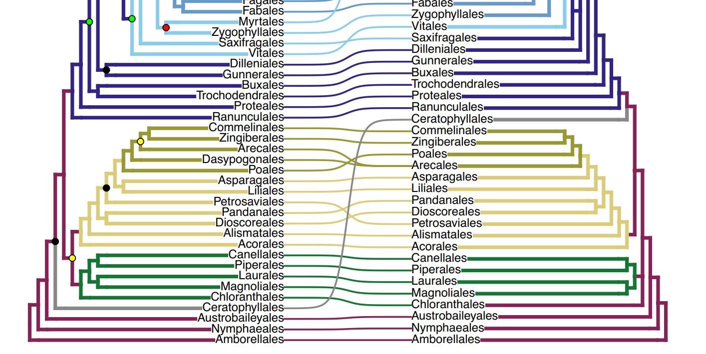 Auszug aus wissenschaftlicher Publikation