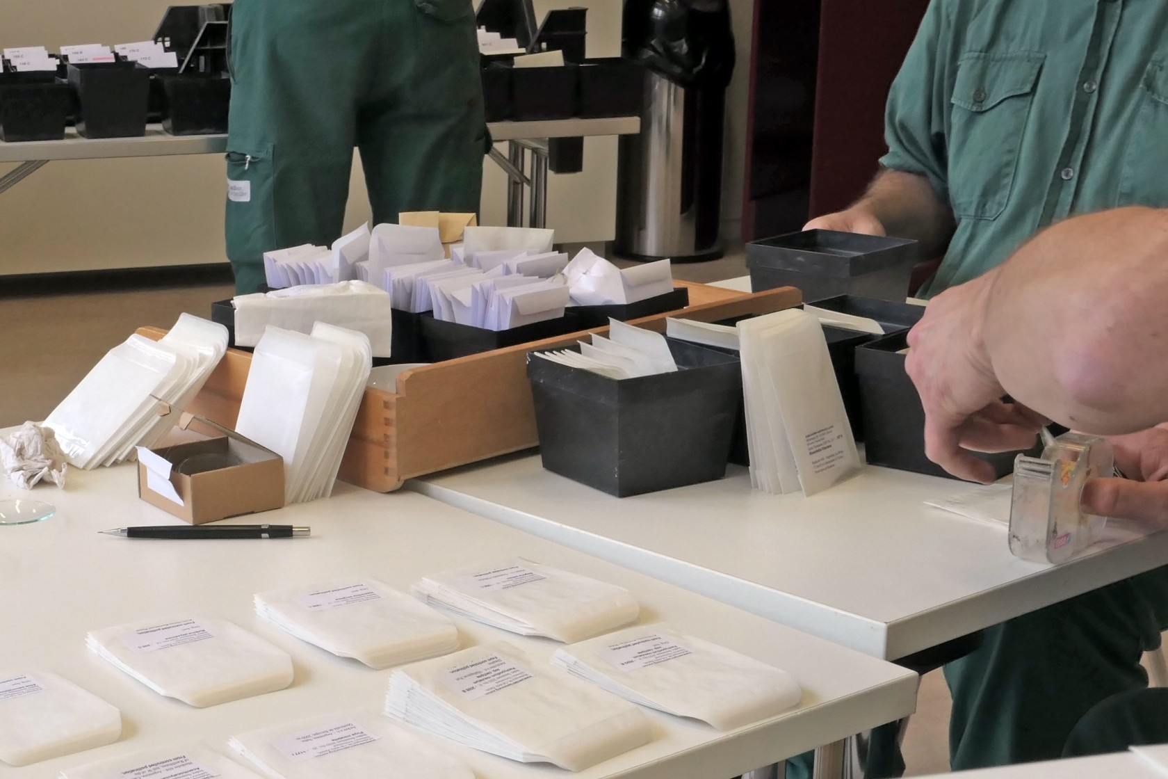 Samen werden für den Samentausch portioniert.