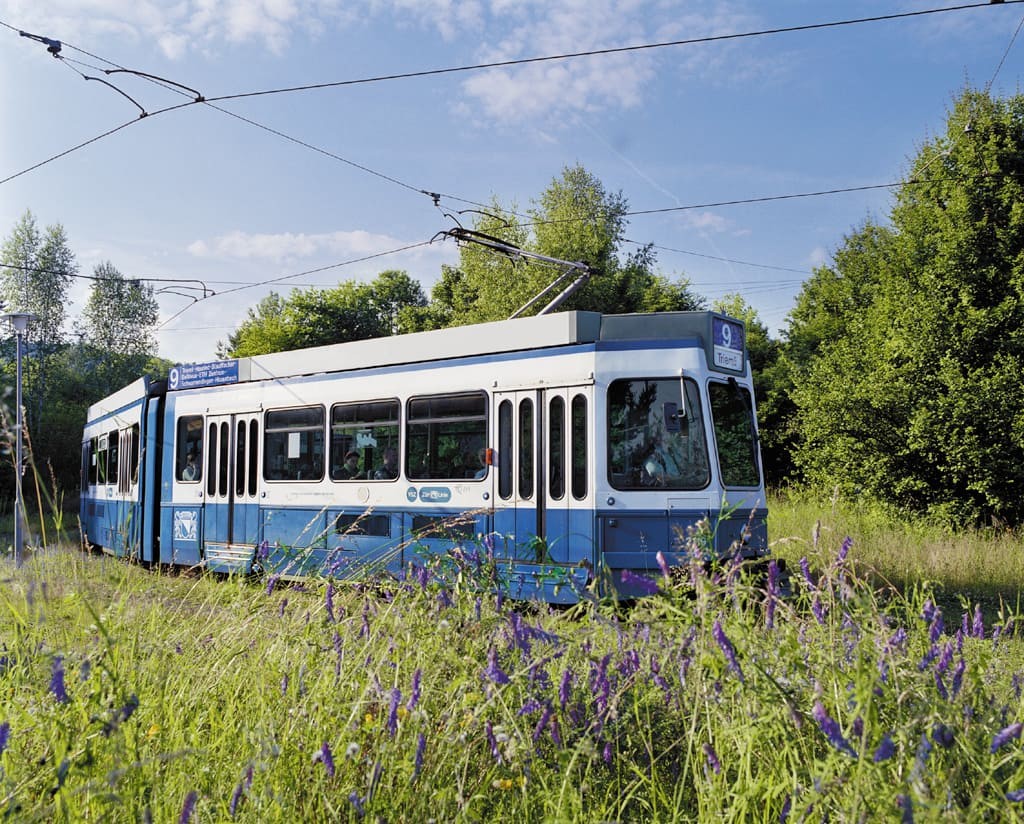 Tram im Grünen