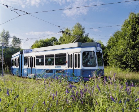 Tram im Grünen Tram im Grünen