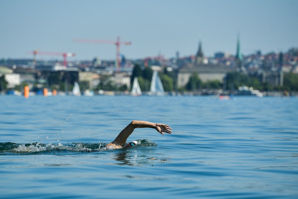 Schwimmer am Zürich City Triathlon