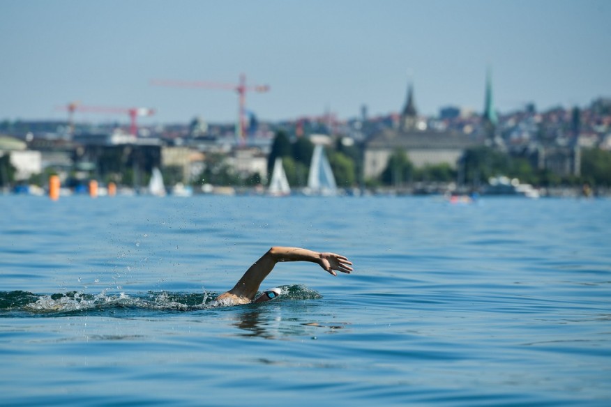Schwimmer am Zürich City Triathlon