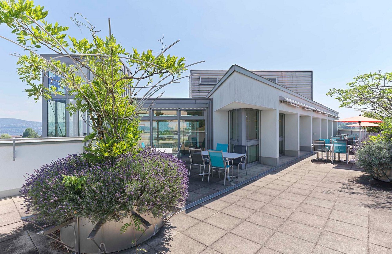 Galerie Bild 16 von 17